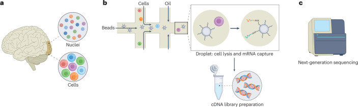 single-cell -technology 