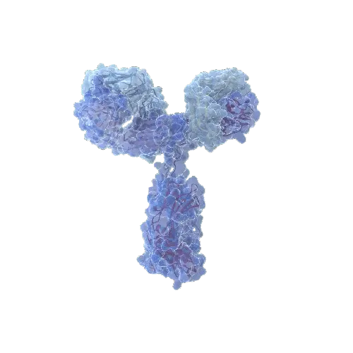 Human Granzyme B ELISPOT antibody pair, plates NOT included