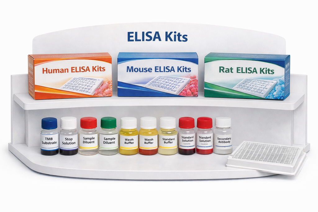 Human GPRC5A  ELISA KIT
